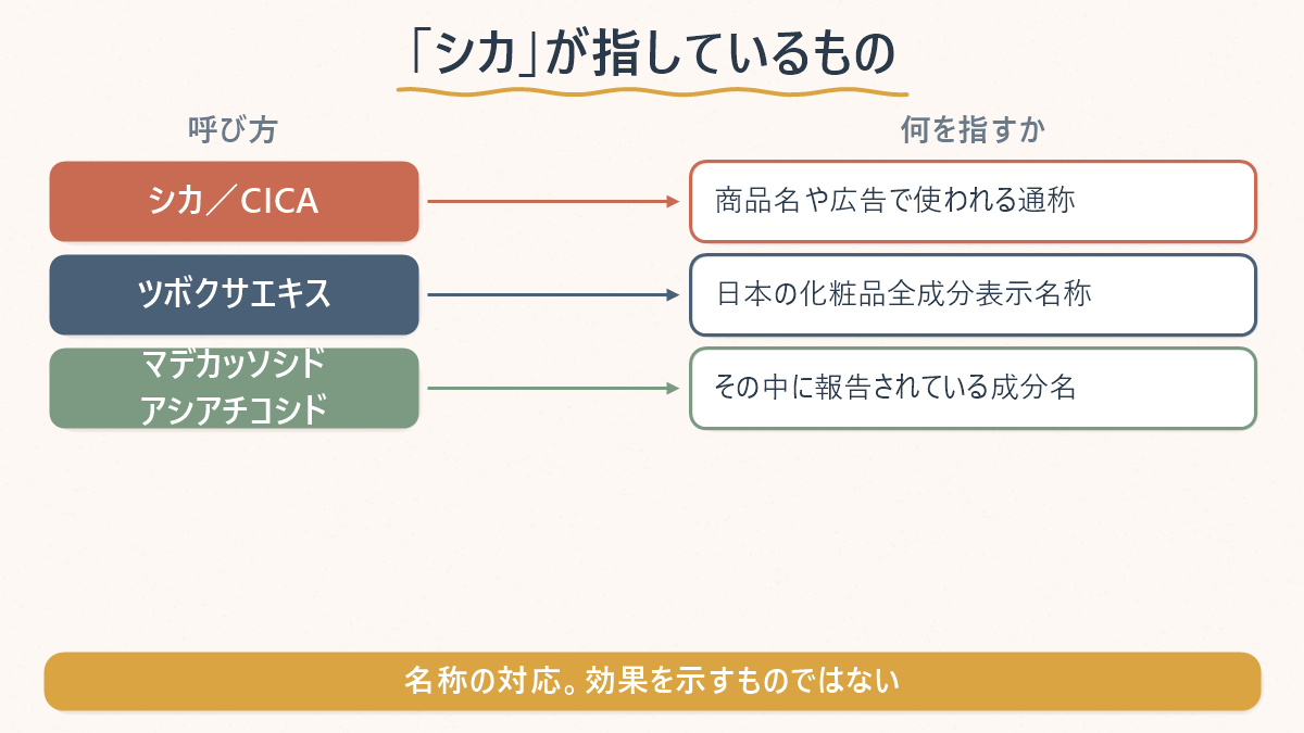「シカ」という呼び方が何を指すかを整理した図解。通称のシカ、日本の化粧品全成分表示名称のツボクサエキス、その中に報告されている成分名を対応させている