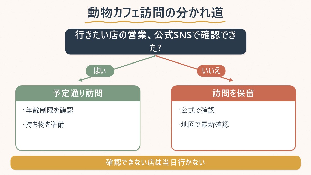 動物カフェを選ぶときの最初の分かれ道（営業をSNSで確認できたかどうか）