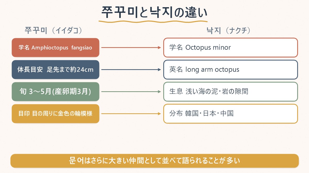 쭈꾸미と낙지の学名・体の特徴・生息環境の違いをまとめた図