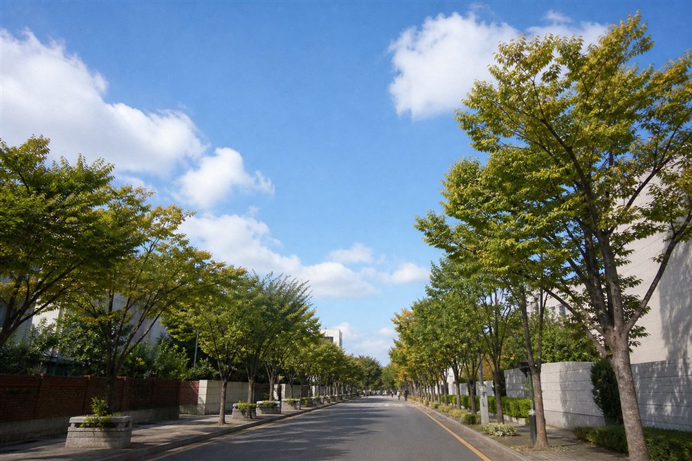 9月の韓国旅行｜残暑とチュソク連休はどう影響する? 気温・休業を2026年版で整理