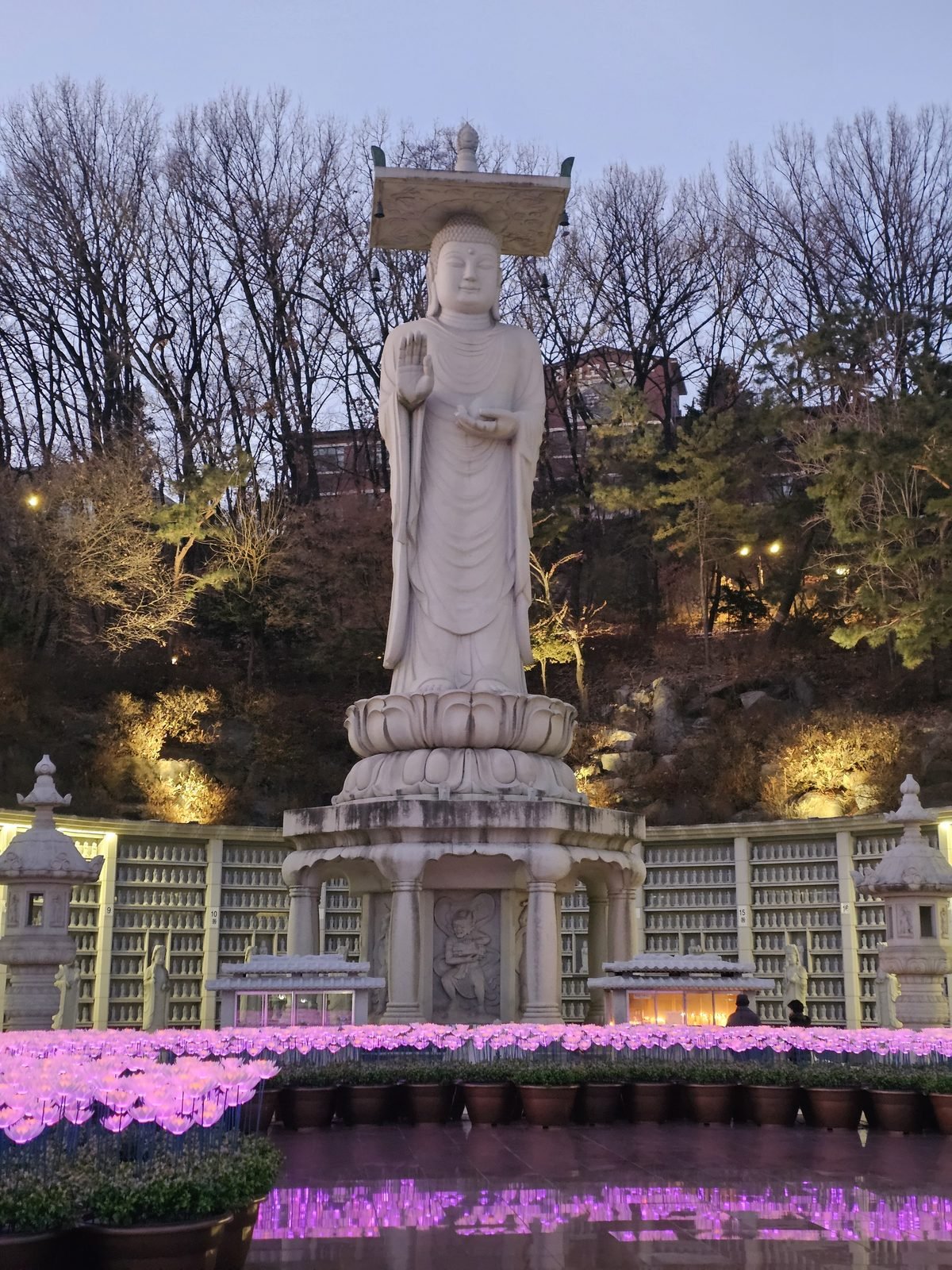 夜にライトアップされた奉恩寺の弥勒大仏と紫の蓮灯