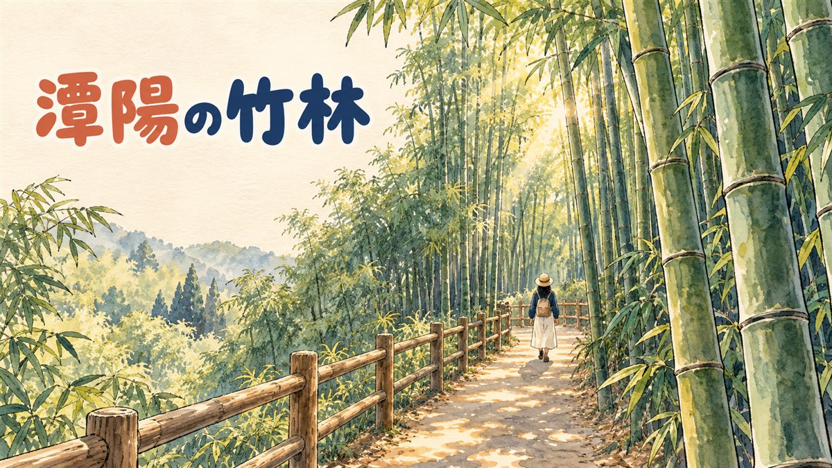 潭陽の竹緑苑とメタセコイア並木道を紹介するイメージ画像