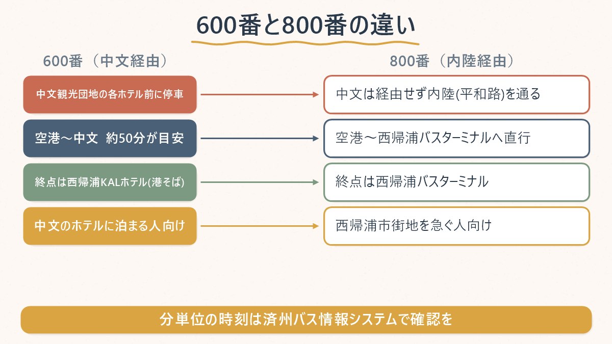 600番リムジンバス(中文経由)と800番リムジンバス(内陸経由)の経由地・所要時間・向く人の違いを比較した図解