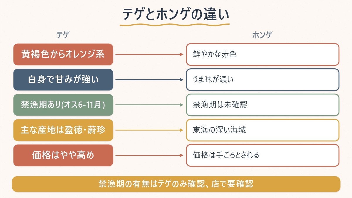 テゲ(대게)とホンゲ(홍게)の色・味・禁漁期・主な産地を並べて比較する図