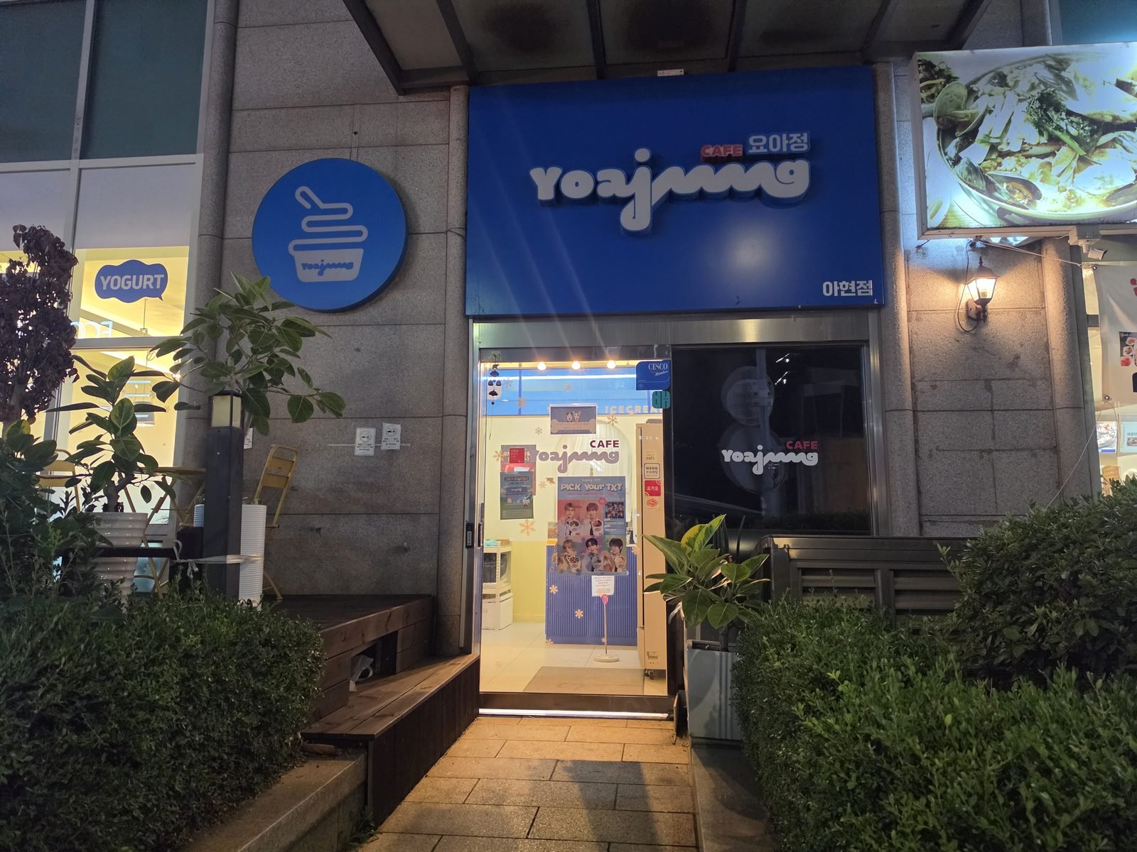 青いロゴ看板のヨーグルトアイス専門店ヨアジョンの夜の店頭