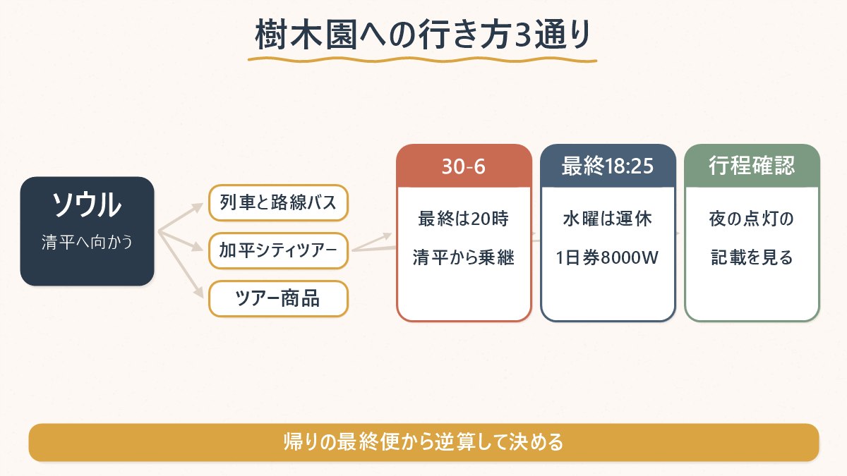 ソウルから樹木園への行き方の選び方を、列車とバス・シティツアーバス・ツアーの3つに分けて示した分岐図